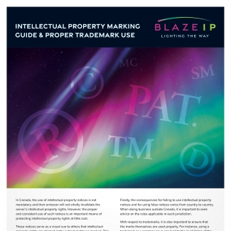 Thumbnail of the Intellectual Property Marking Guide